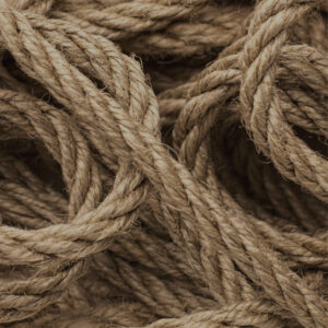 Sisal