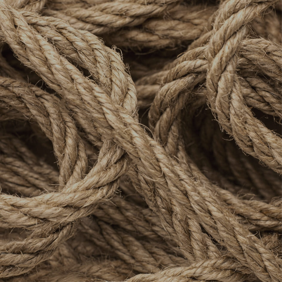 Sisal